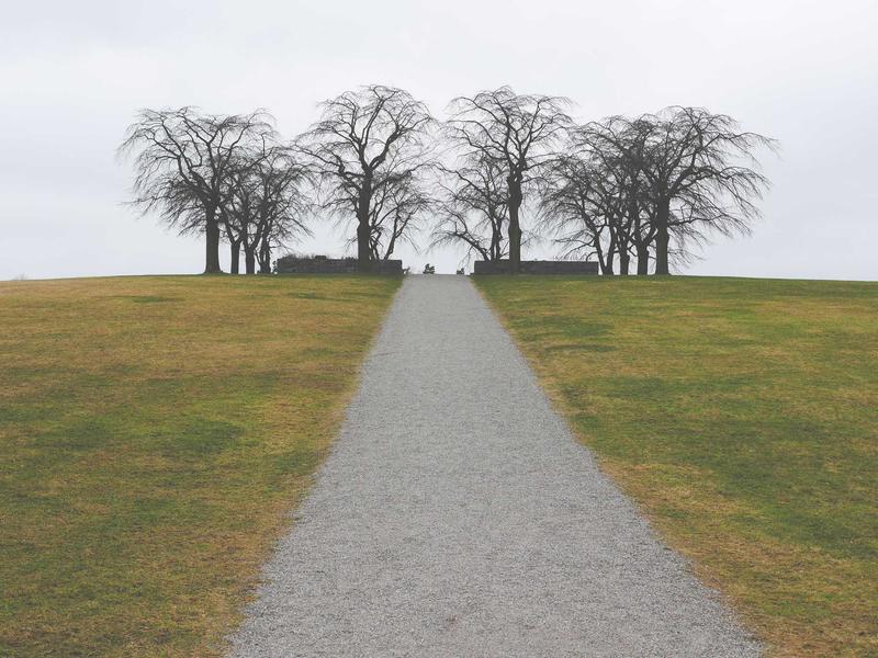 Shampoo Uso Frequente