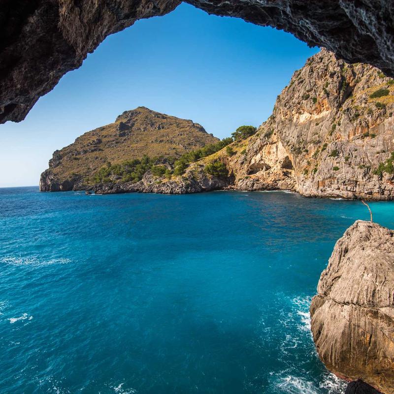 Shampoo Delicato alla Camomilla e Miele