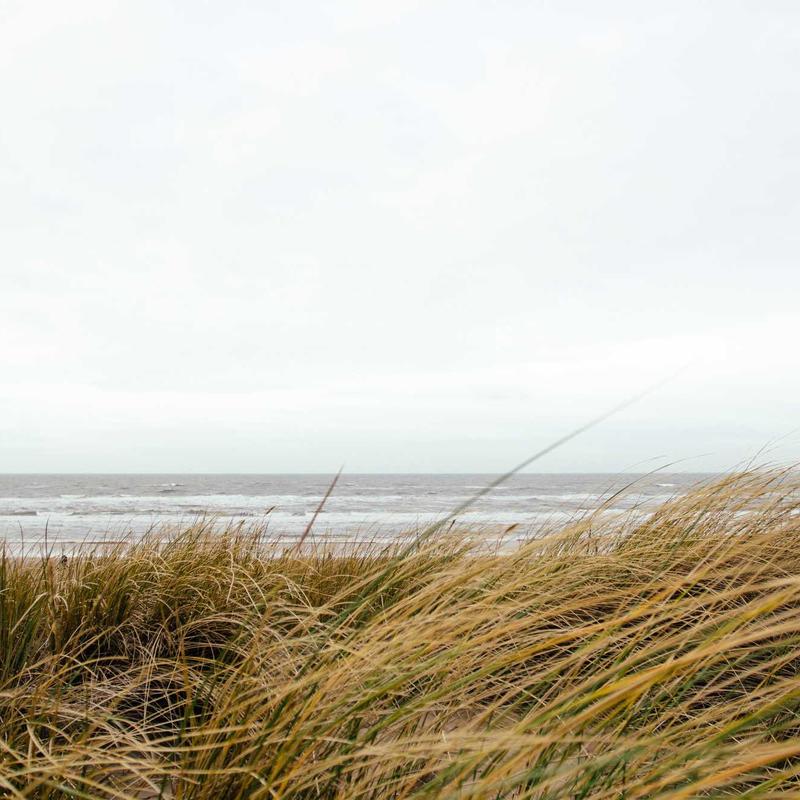 Sapone Liquido alla Rosa Damascena
